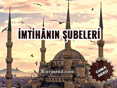 imtahanınşubeleri.jpg