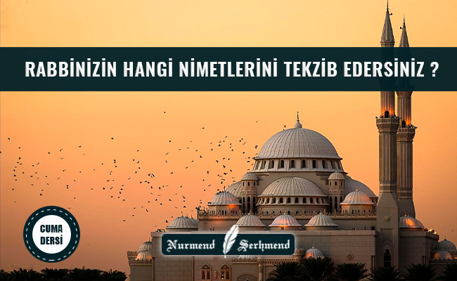 RABBİNİZİN HANGİ NİMETLERİNİ TEKZİB EDERSİNİZ?